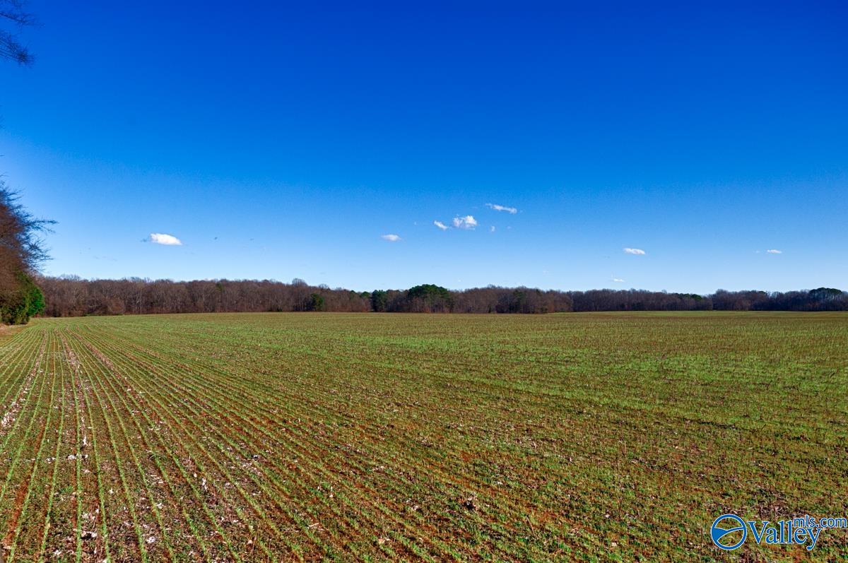 237 Acres Narrow Lane, New Market, Alabama image 23