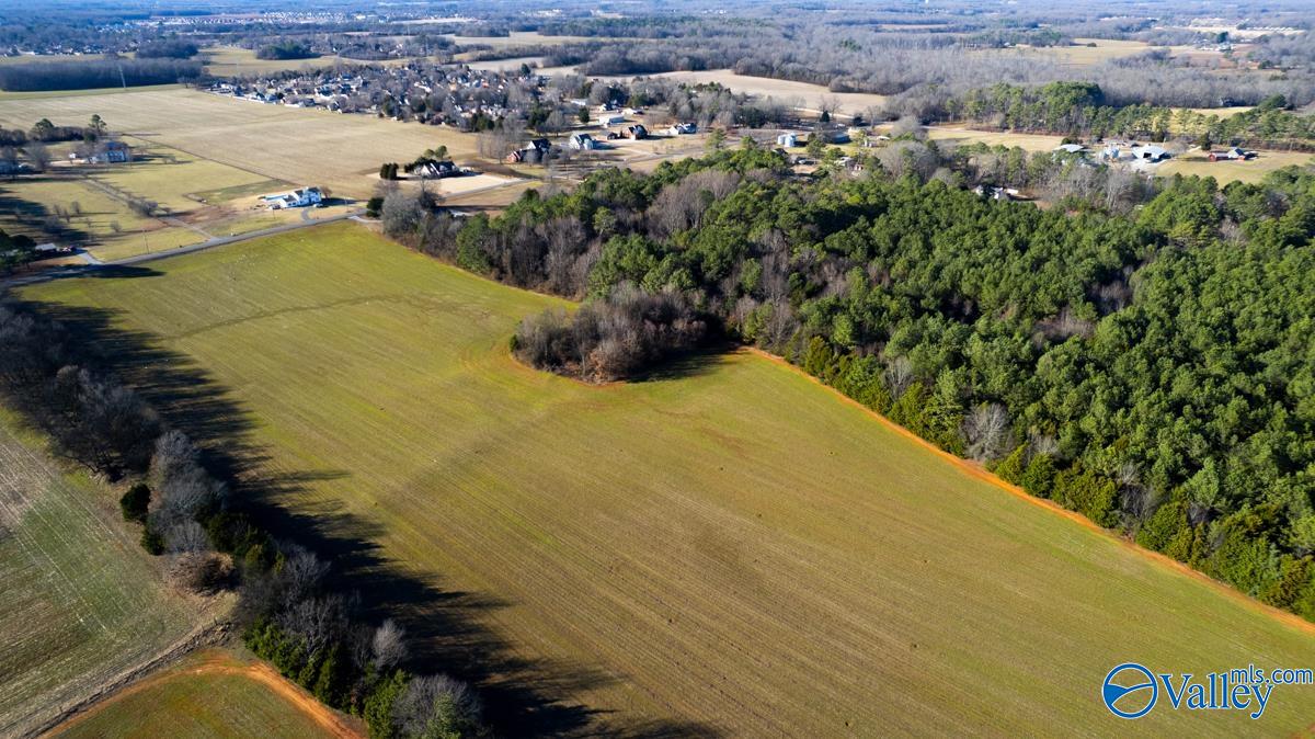 237 Acres Narrow Lane, New Market, Alabama image 7