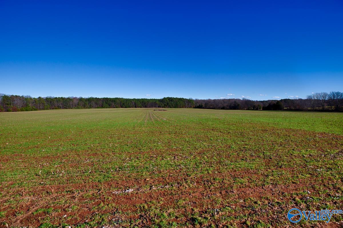 237 Acres Narrow Lane, New Market, Alabama image 13