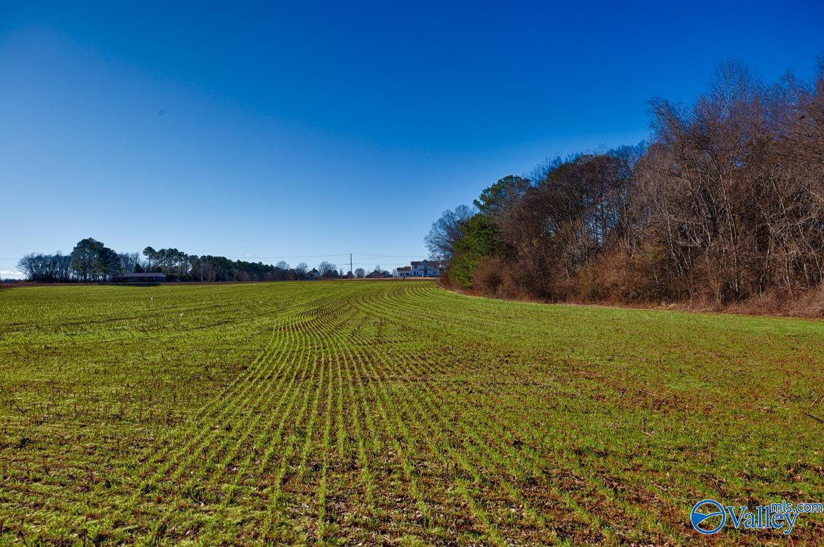 237 Acres Narrow Lane, New Market, Alabama image 10