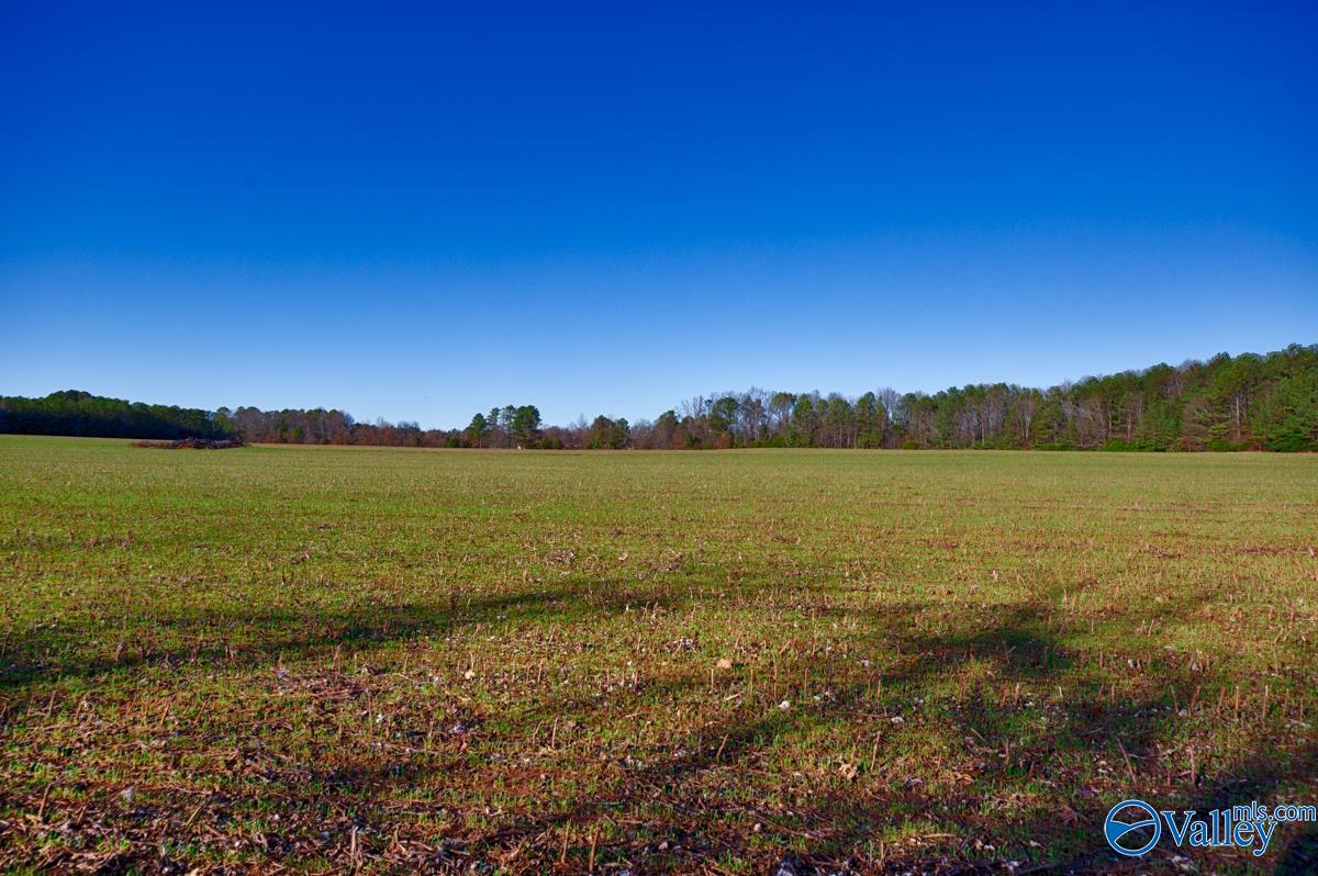 237 Acres Narrow Lane, New Market, Alabama image 21