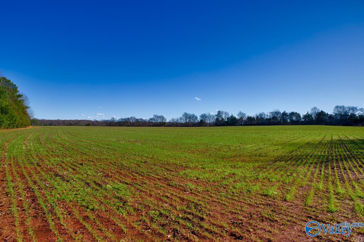 237 Acres Narrow Lane, New Market, Alabama image 12