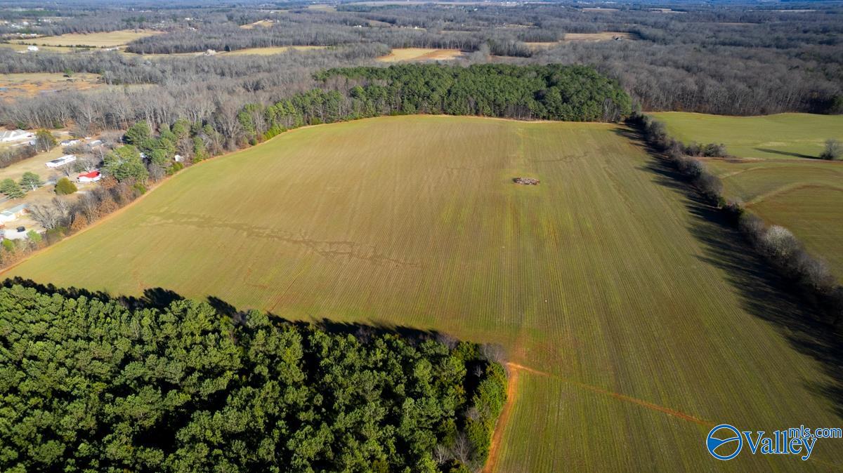 237 Acres Narrow Lane, New Market, Alabama image 4