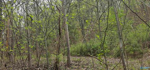 Vacant Land For Sale - 52179 Norman Avenue<br/> Attalla, AL 35954