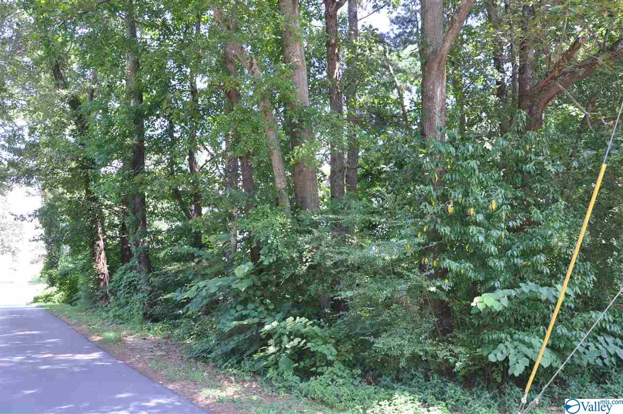 Lot 9-19 2nd Avenue, Arab, Alabama image 2