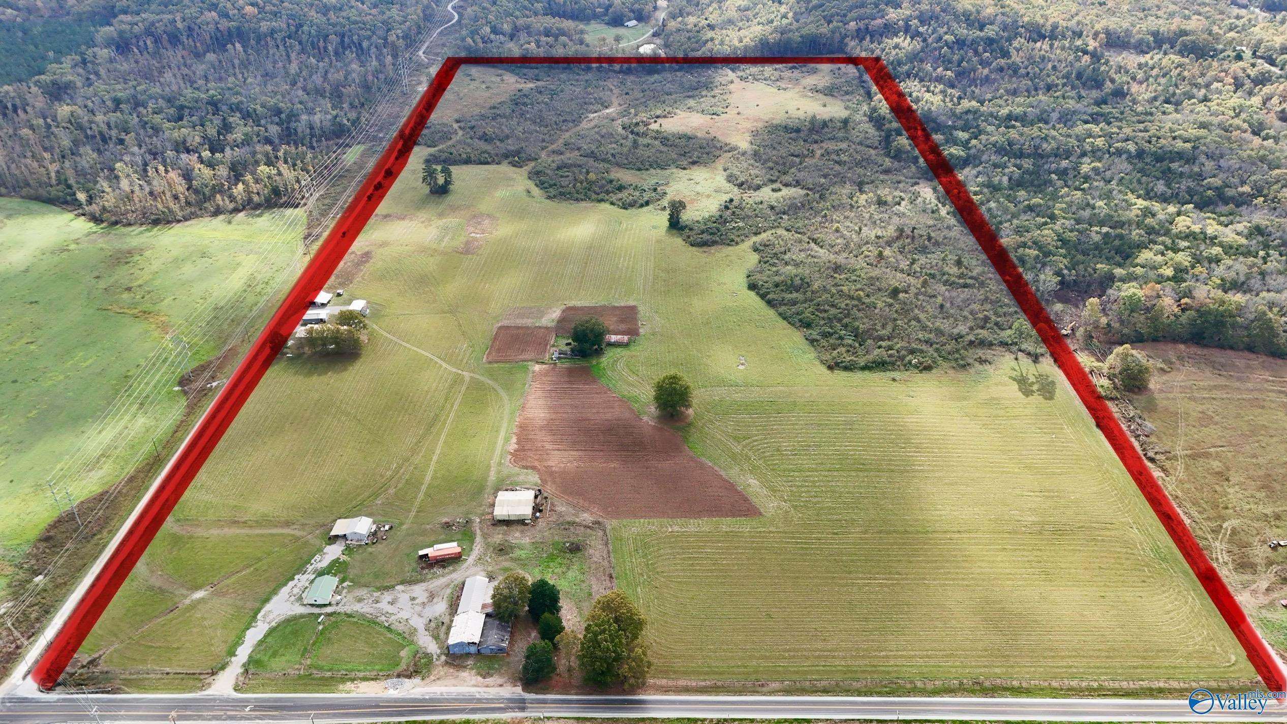 8374 County Road 222, Trinity, Alabama image 6