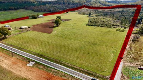 Vacant Land For Sale - 8374 County Road 222<br/> Trinity, AL 35673