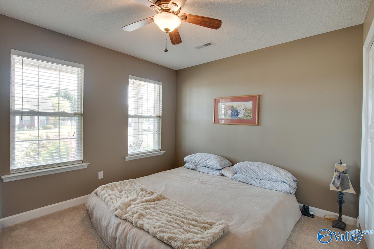 5111 Frankford Drive, Owens Cross Roads, Alabama image 19