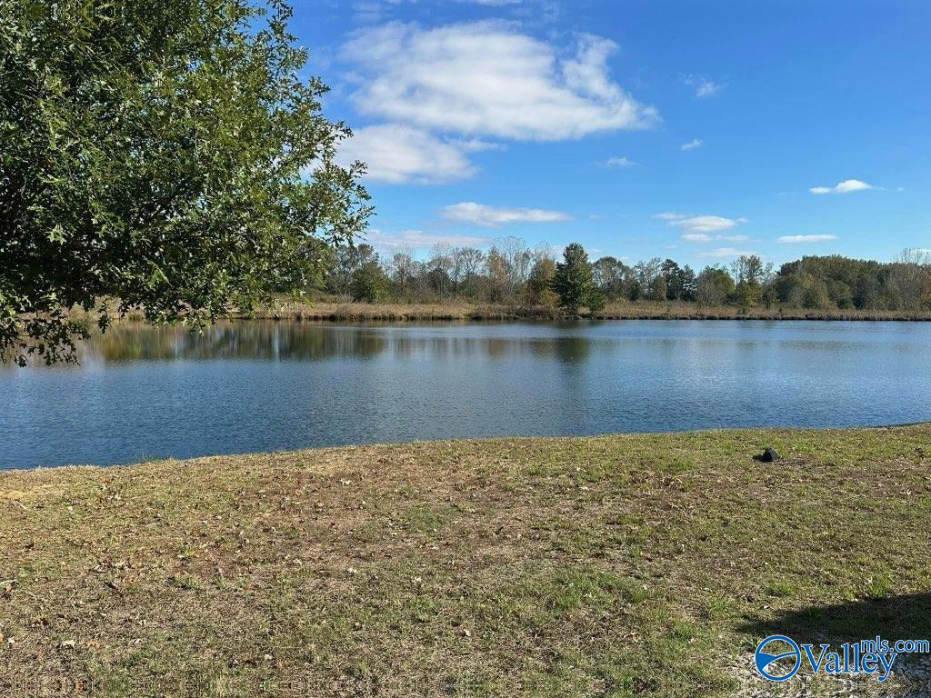 615 County Road 487, Moulton, Alabama image 1