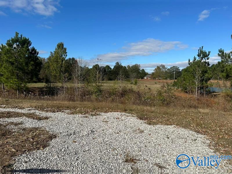 615 County Road 487, Moulton, Alabama image 3