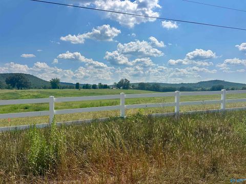 Vacant Land For Sale - TRACT E Old Memphis Pike<br/> Colbert County, Tuscumbia, AL 35674