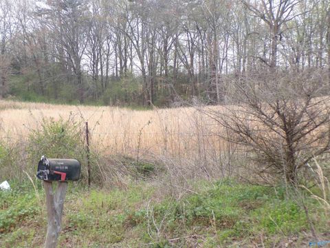 Vacant Land For Sale - 4.4 County Road 369<br/> Trinity, AL 35673