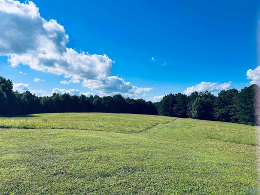 160 +/- ACRES COUNTY ROAD 1201, VINEMONT, AL 35179 - Image 851c142d8d9a4d7061742af4e4c8e960/3662411283