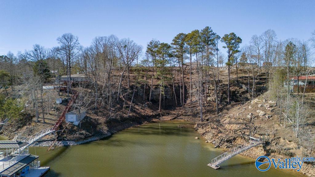 Parcel 2 County Road 206, Crane Hill, Alabama image 9