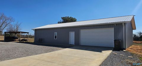 Photo of 70 County Road 610, Section, AL 35771 (MLS # 21910078)