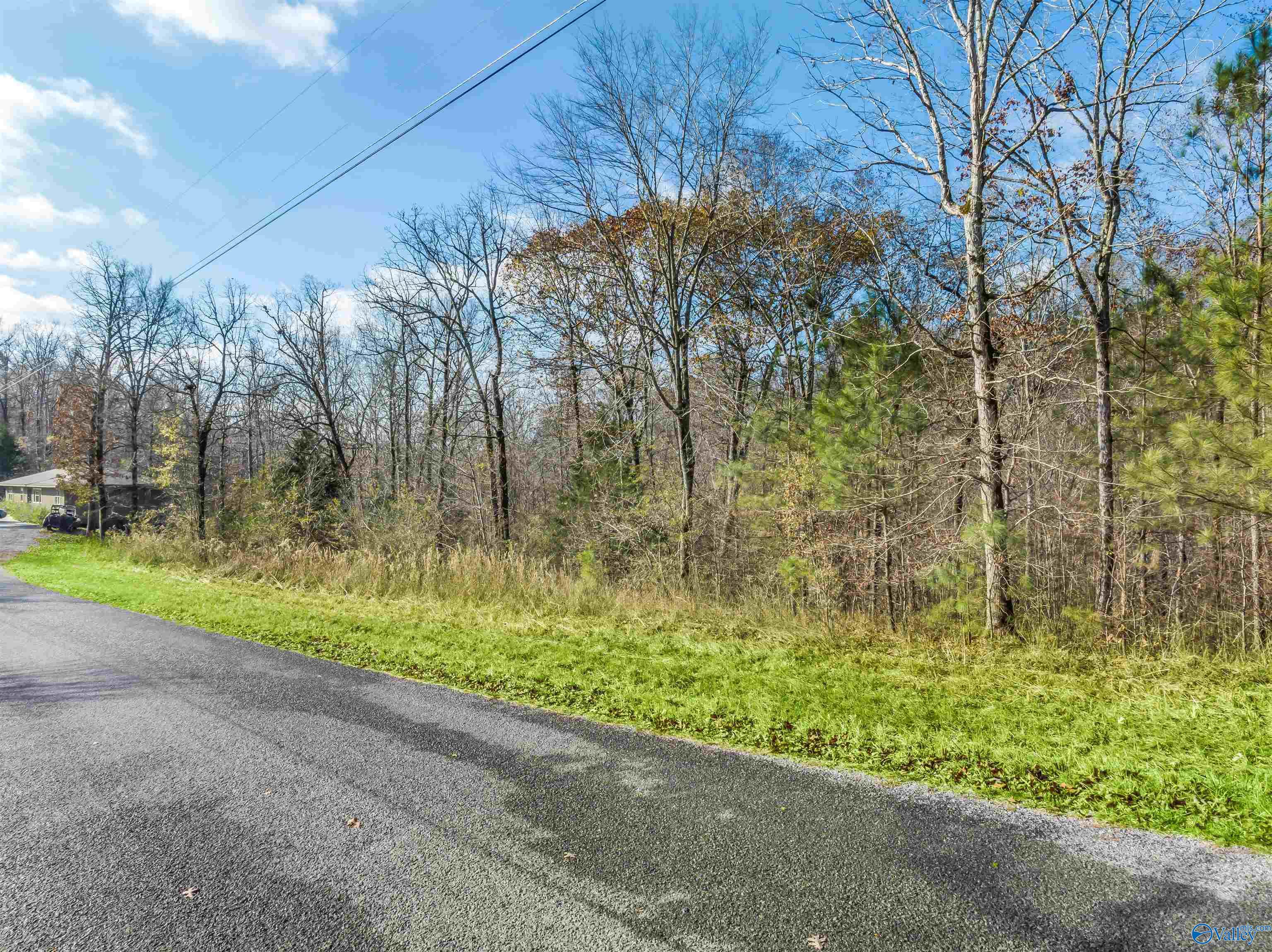 1836 County Road 870, Crane Hill, Alabama image 9