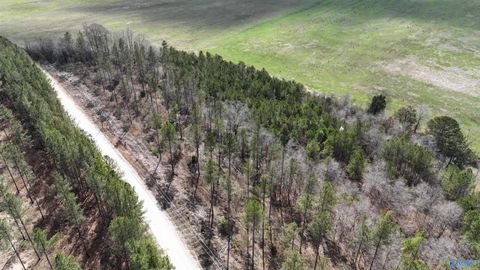 Vacant Land For Sale - 15 County Road 175<br/> Cherokee County, Piedmont, AL 36272