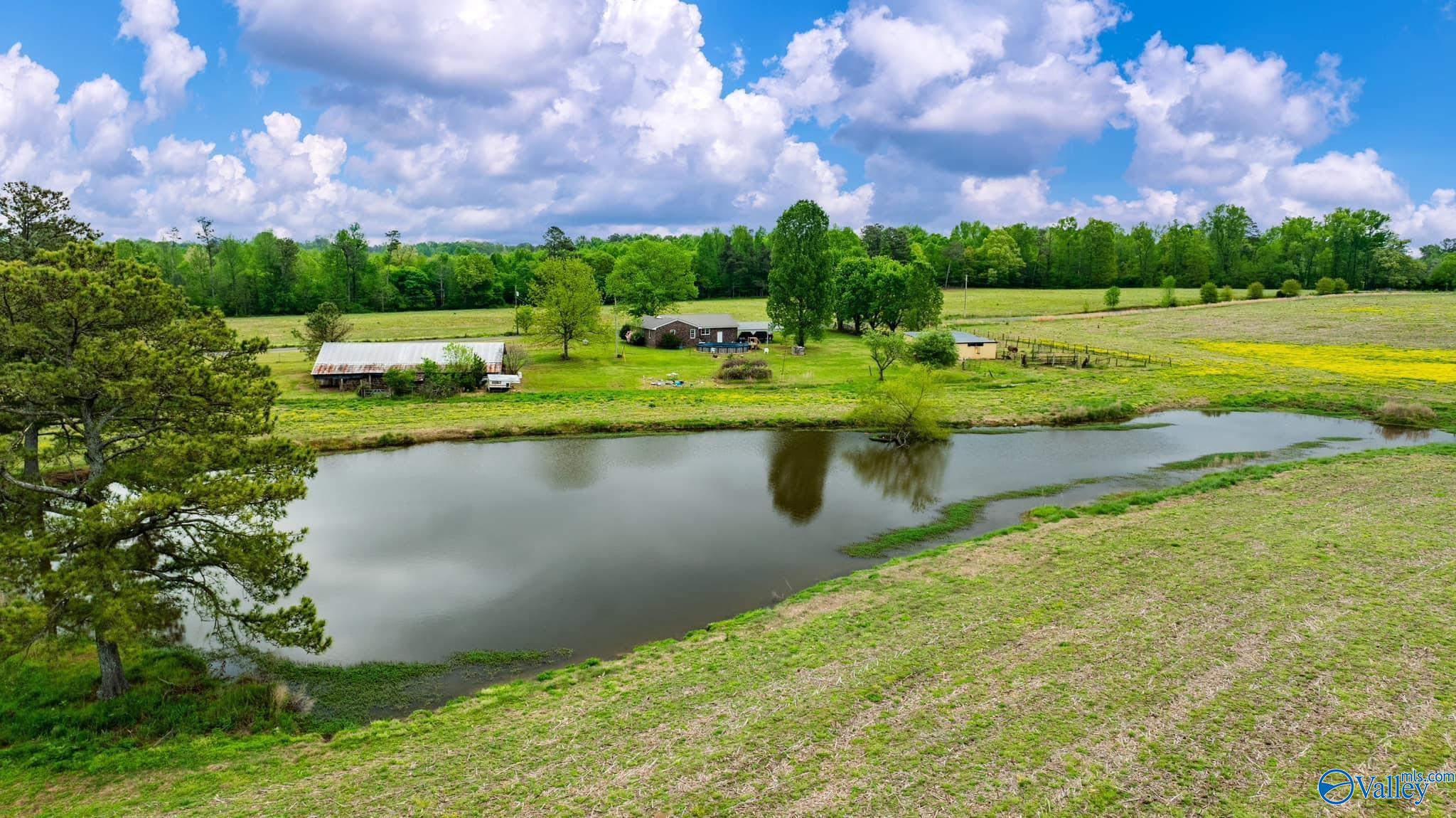 22 Acres County Road 318, Dawson, Alabama image 4