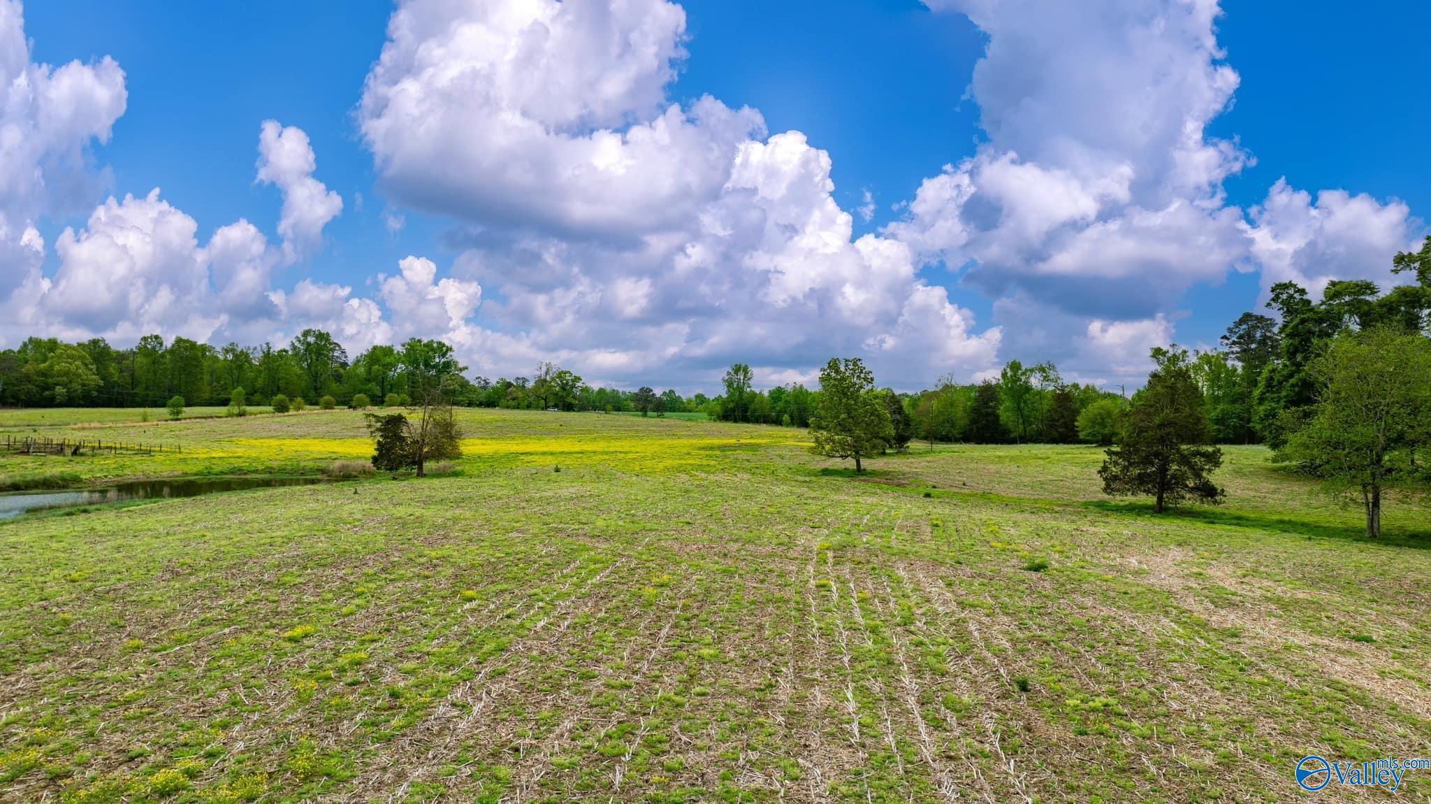 22 Acres County Road 318, Dawson, Alabama image 1