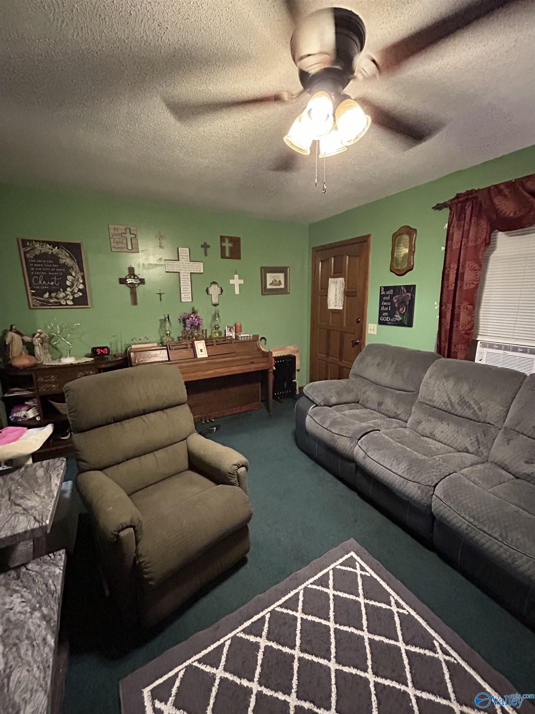 372 Poole Circle, Fyffe, Alabama image 6