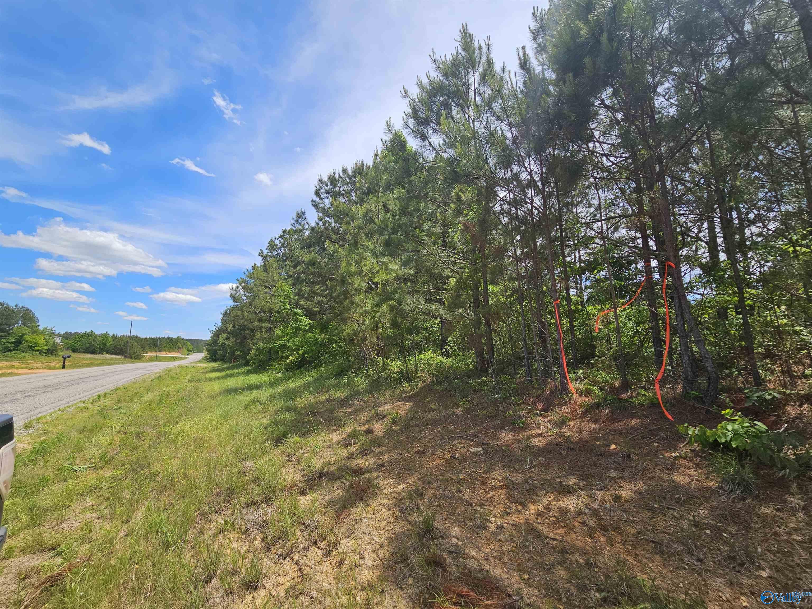 Lot 2 County Road 40, Fruithurst, Alabama image 7