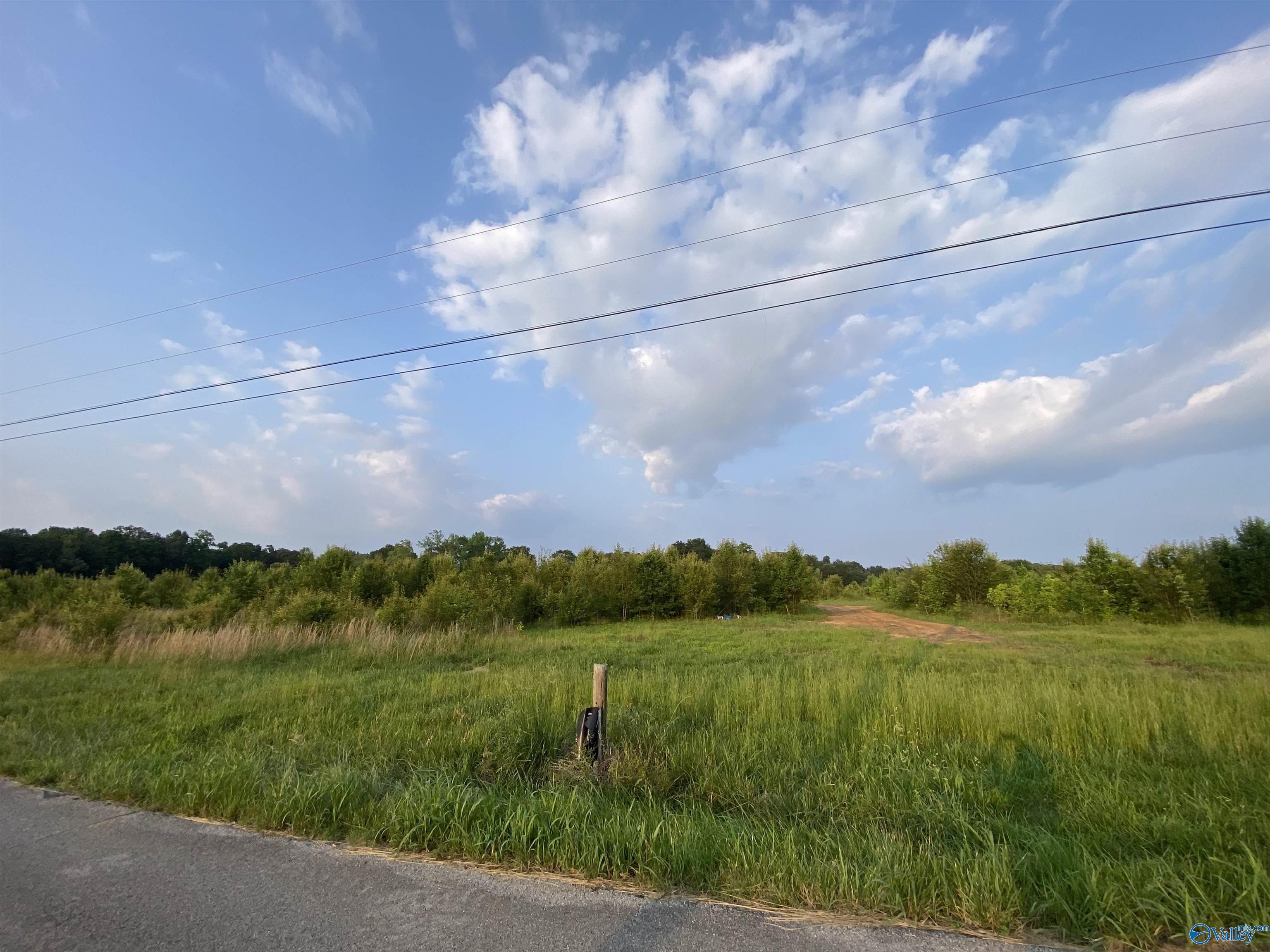 18 Acres Al Hwy 69, Arab, Alabama image 2