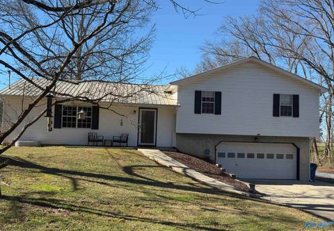 Homes For Sale - 288 Eleven Forty Road<br/> Grant, AL 35747