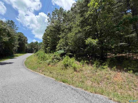 Vacant Land For Sale - LOT 4 County Road 592<br/> Leesburg, AL 35983