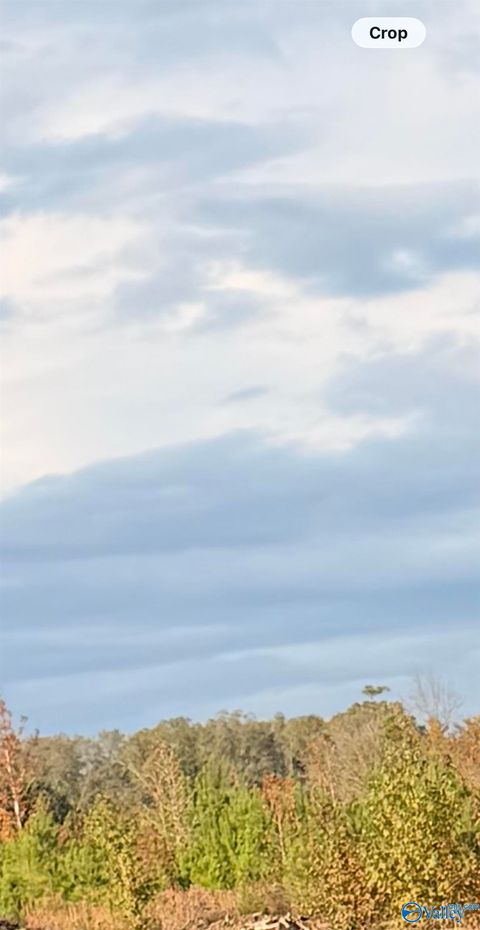 Vacant Land For Sale - LOT 2 County Road 39<br/> Cherokee County, Piedmont, AL 35967