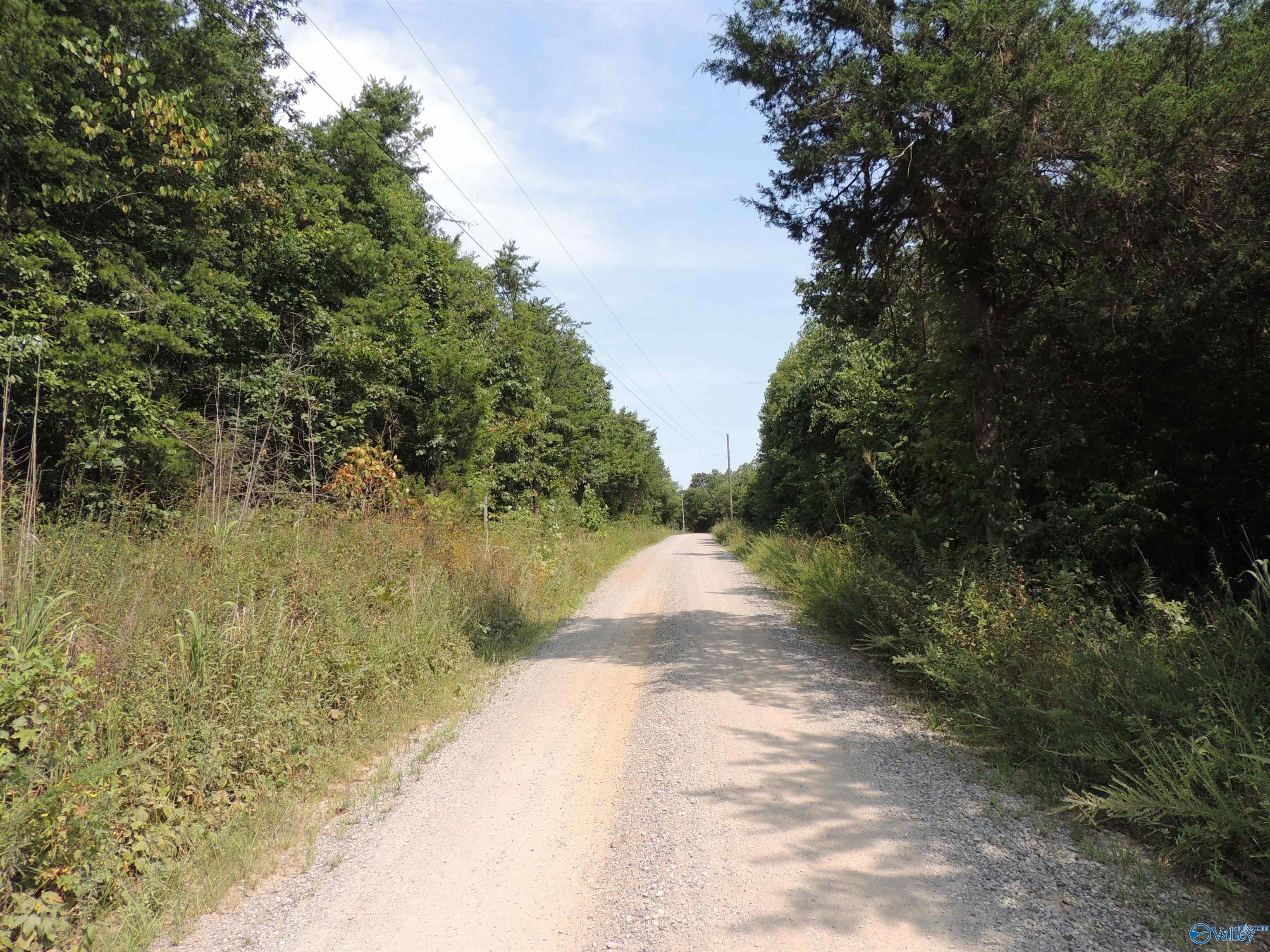 22.4 ACRES County Road 9, Moulton, Alabama image 3