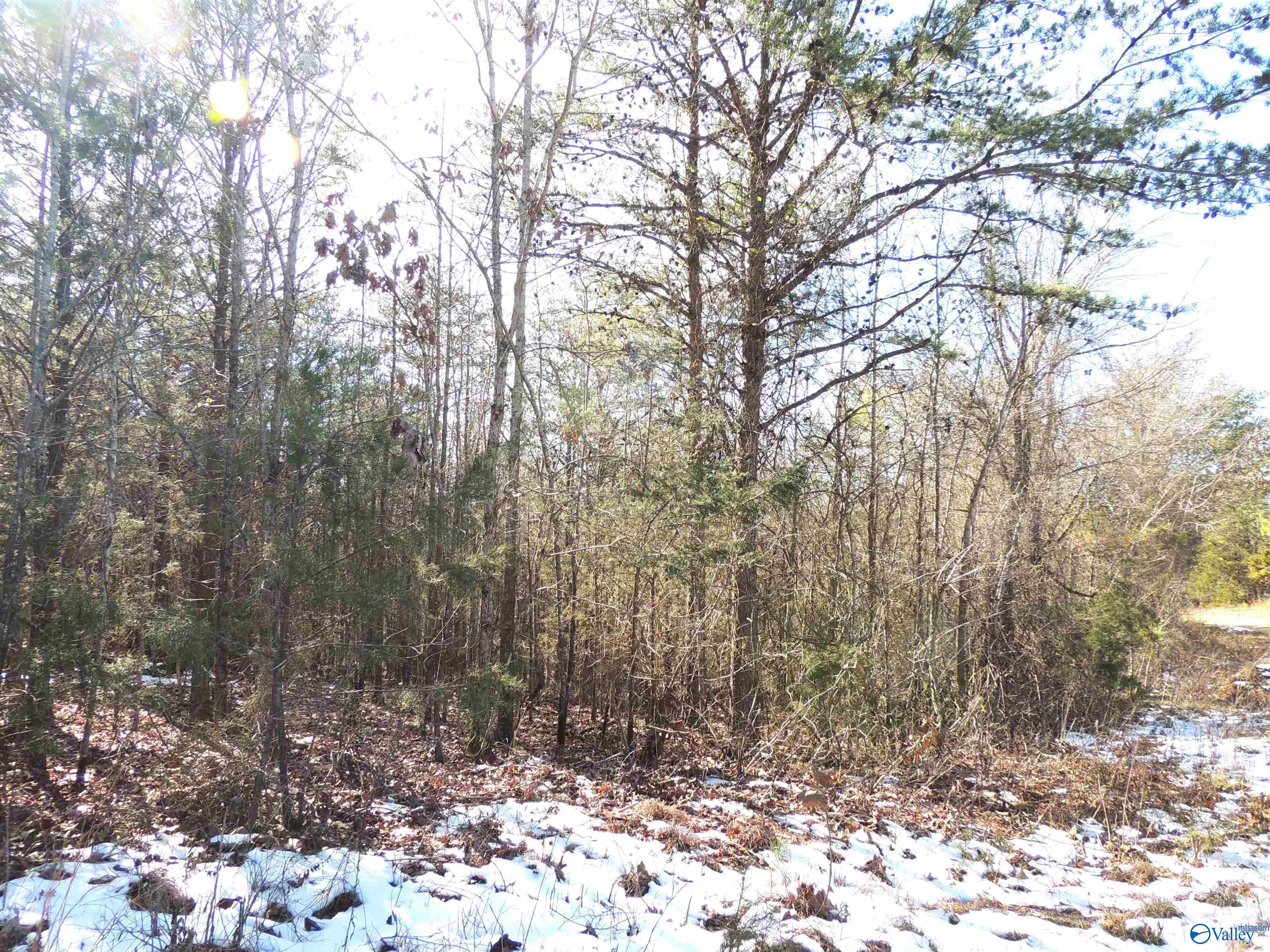 22.4 ACRES County Road 9, Moulton, Alabama image 3