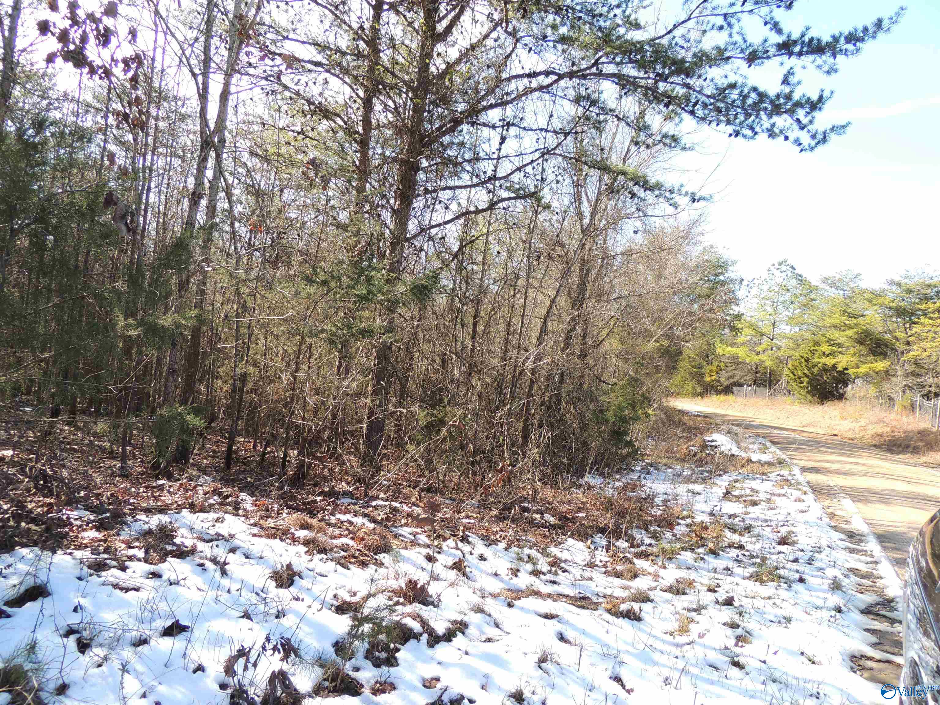 22.4 ACRES County Road 9, Moulton, Alabama image 6