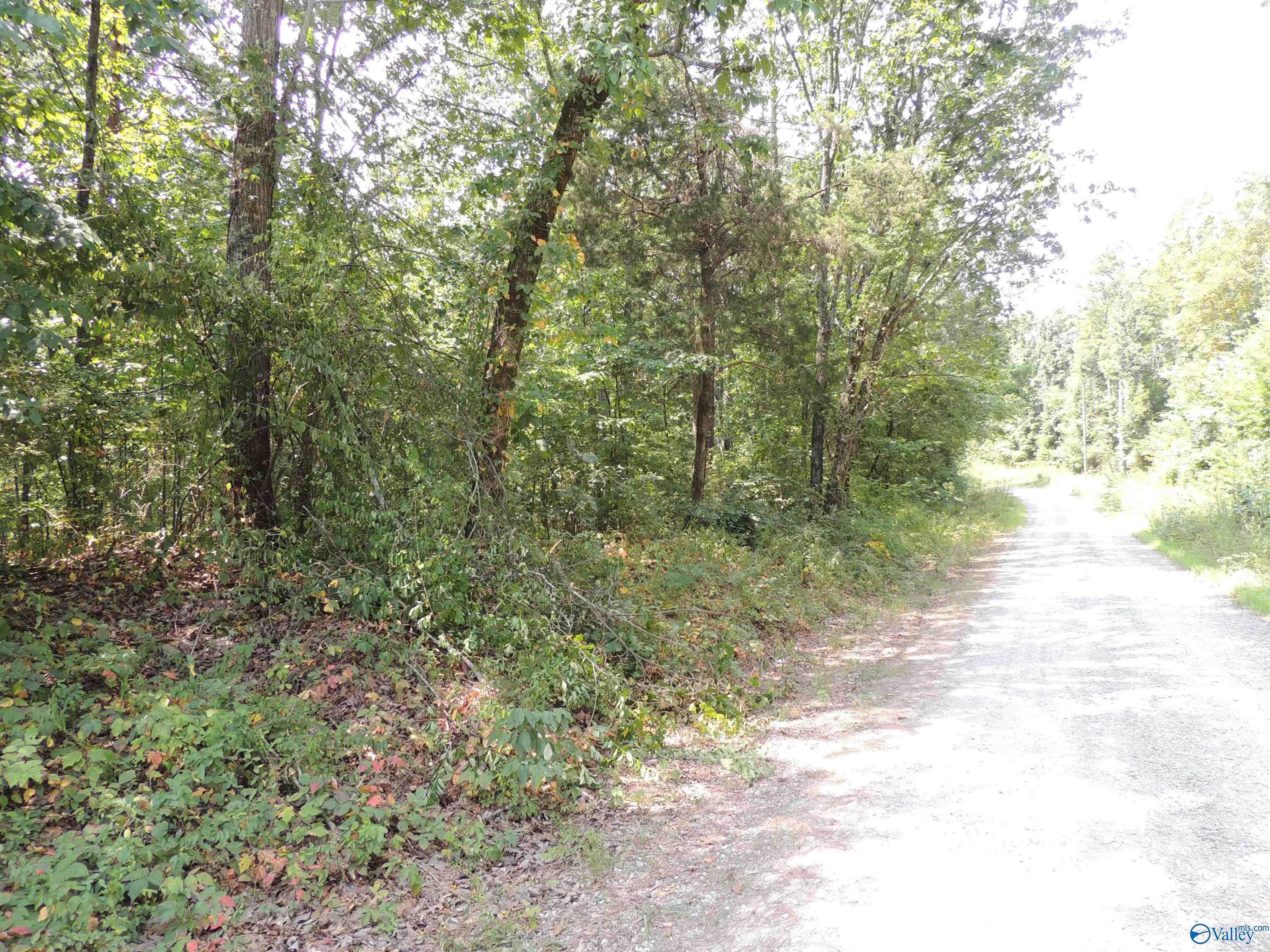 22.4 ACRES County Road 9, Moulton, Alabama image 13