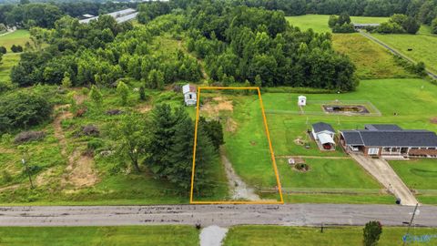 Vacant Land For Sale - 325 County Road 315 #LOT 4<br/> Bryant, AL 35958