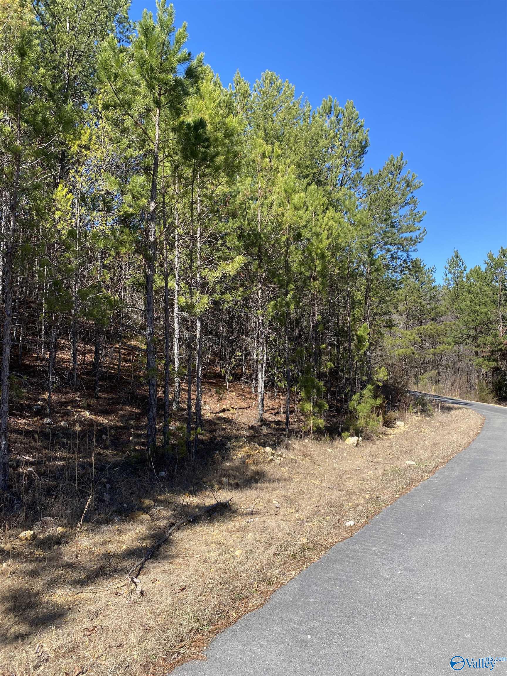 Lot 1 Blk 2 Alyson Avenue, Fort Payne, Alabama image 4