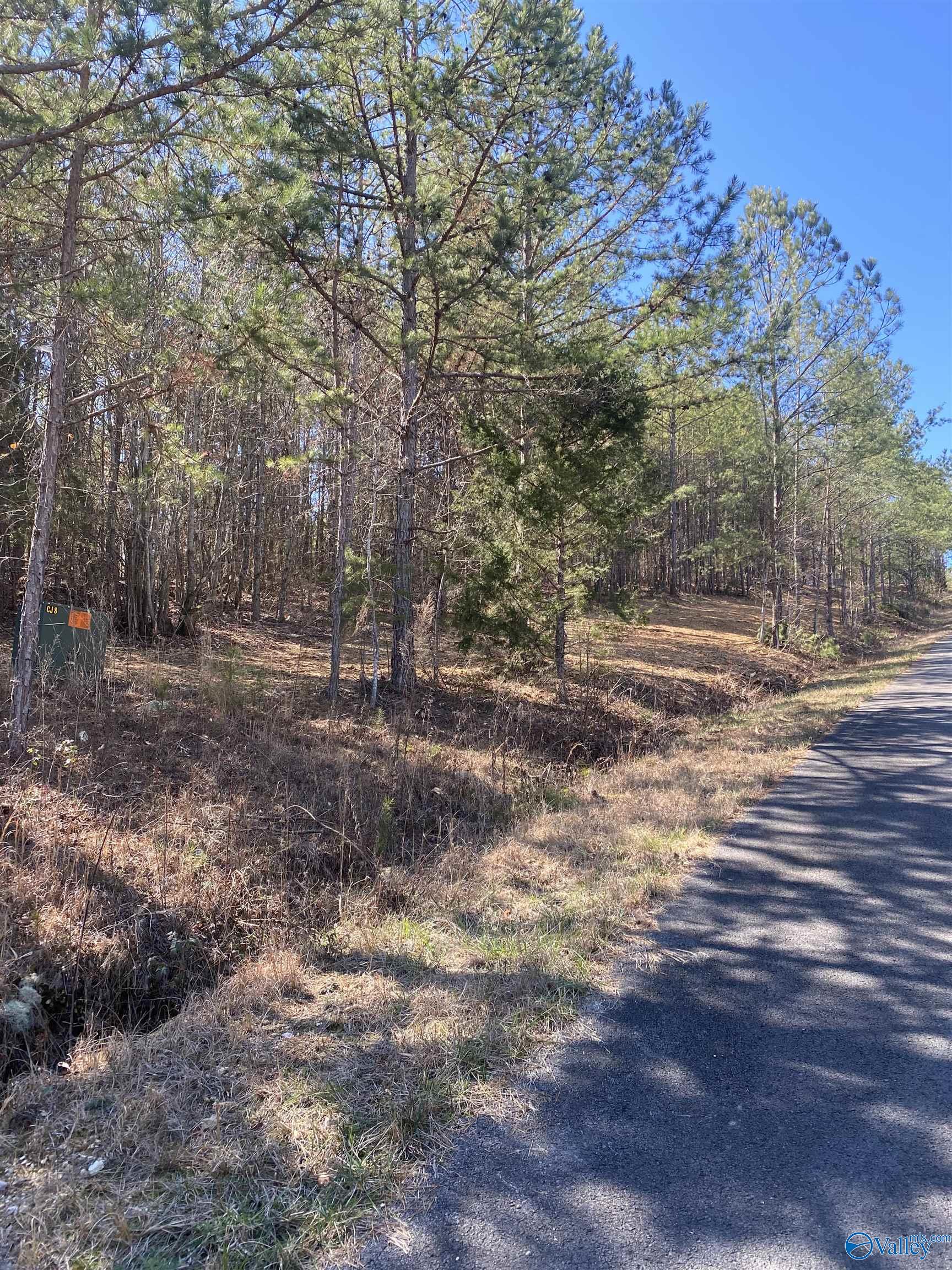 Lot 1 Blk 2 Alyson Avenue, Fort Payne, Alabama image 2