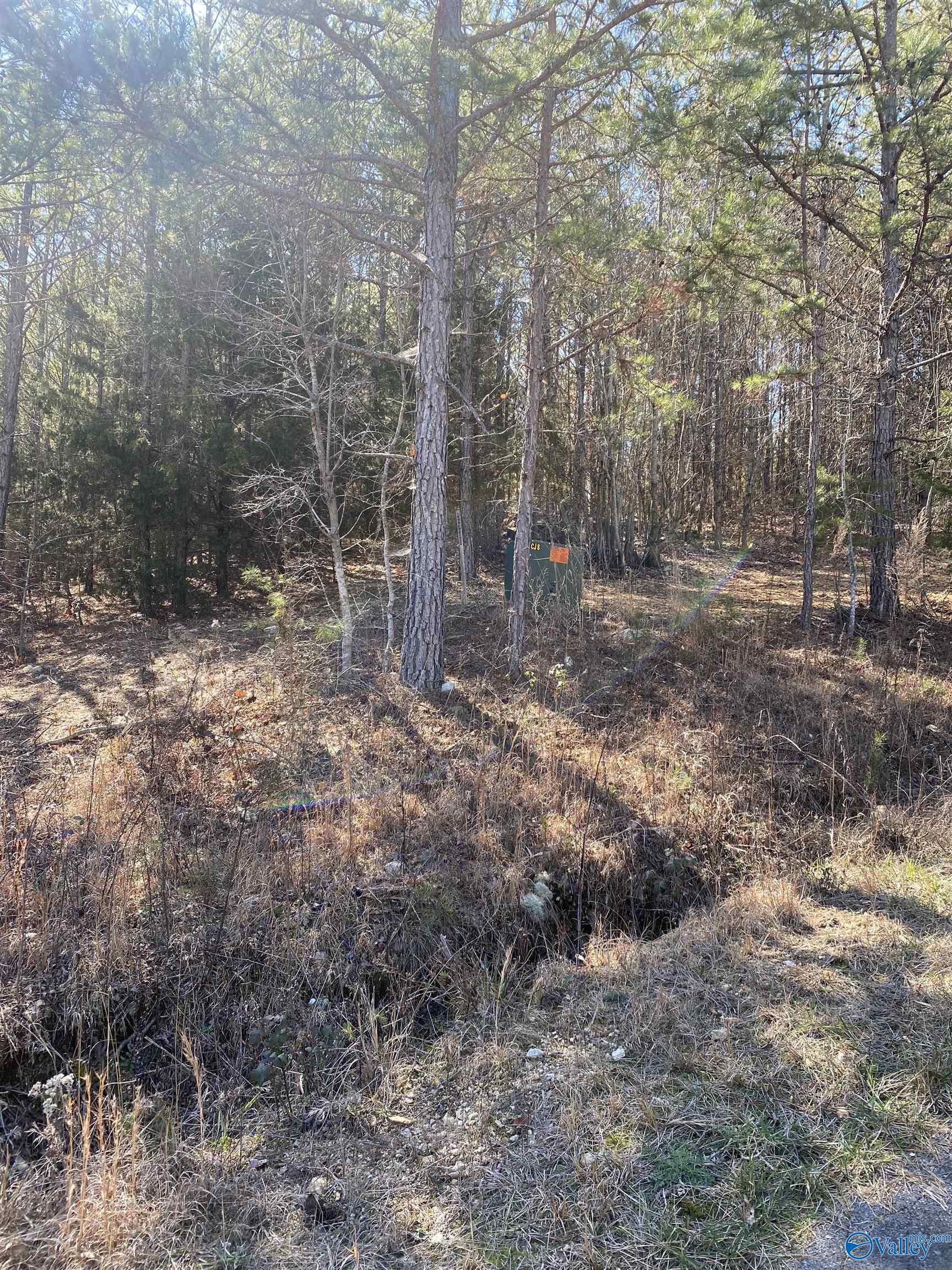 Lot 1 Blk 2 Alyson Avenue, Fort Payne, Alabama image 1