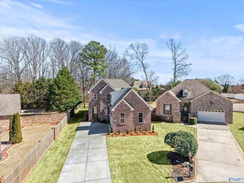 Homes For Sale - 22236 Merlot Drive<br/> Limestone County, Athens, AL 35613