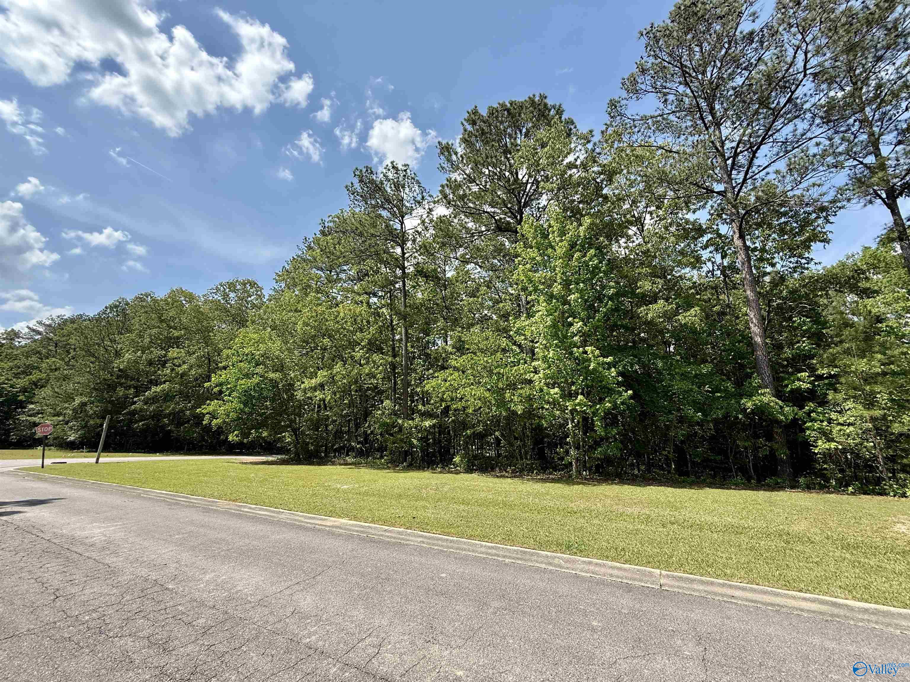 200 English Lane, Rainbow City, Alabama image 3