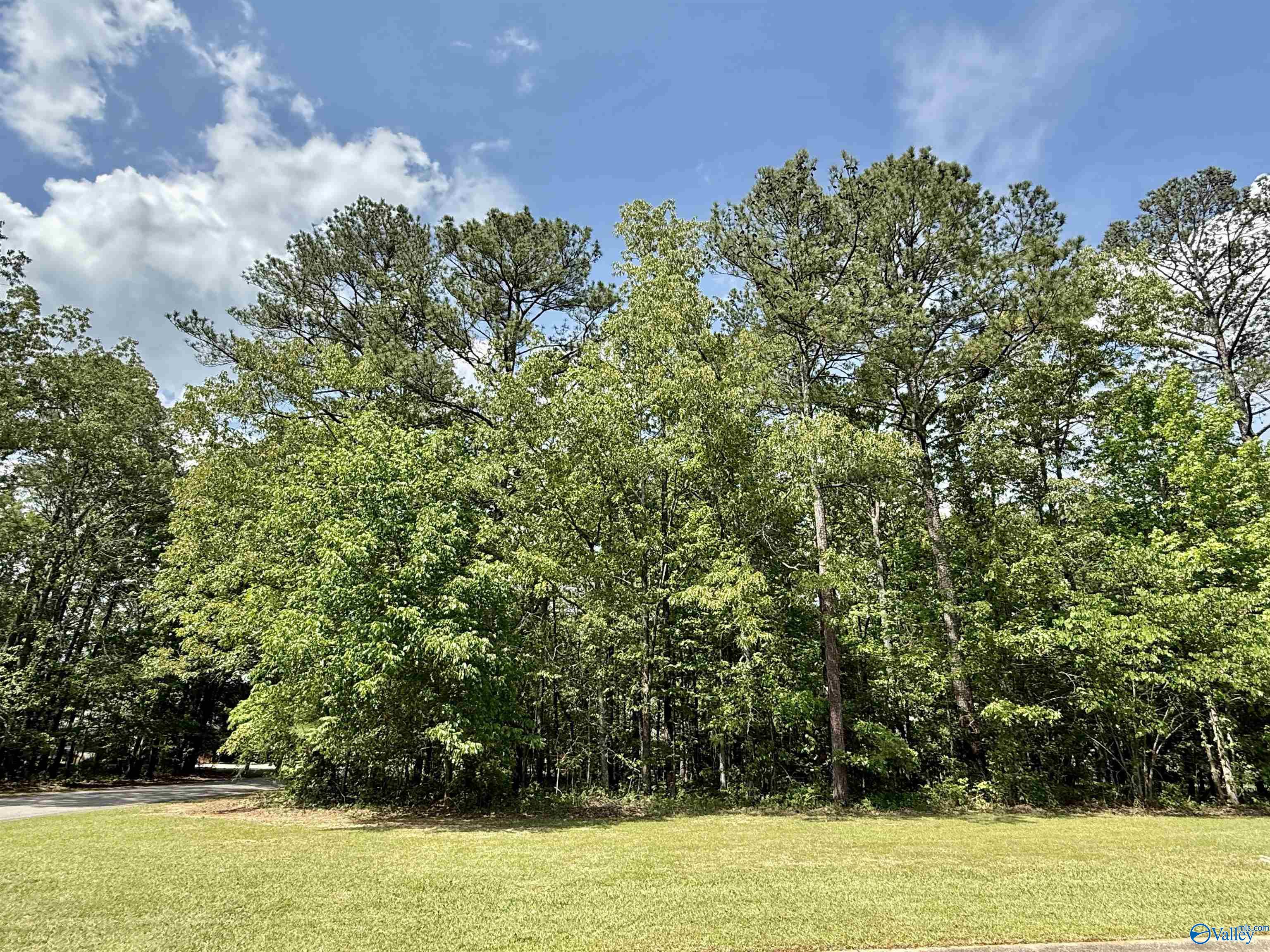 200 English Lane, Rainbow City, Alabama image 4