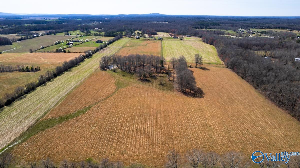 42.8 Acres Ready Section Road, Toney, Alabama image 4