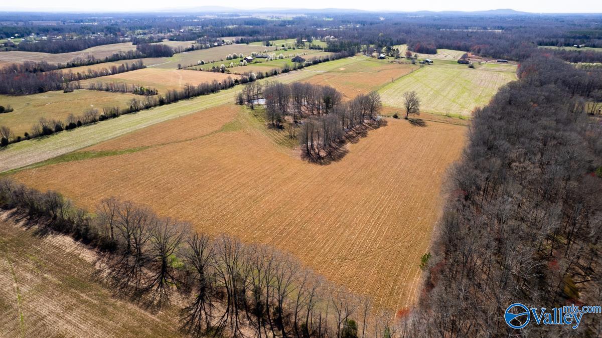 42.8 Acres Ready Section Road, Toney, Alabama image 1