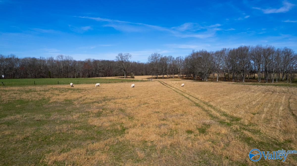 42.8 Acres Ready Section Road, Toney, Alabama image 11