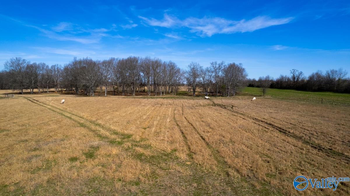 42.8 Acres Ready Section Road, Toney, Alabama image 12