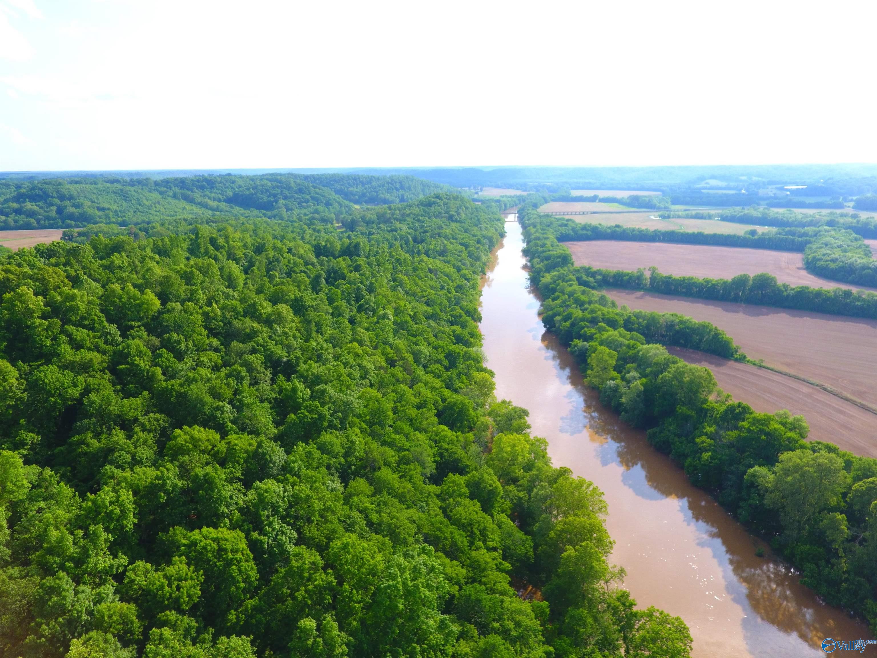 17791 Rocky Hollow Way, Elkmont, Alabama image 9