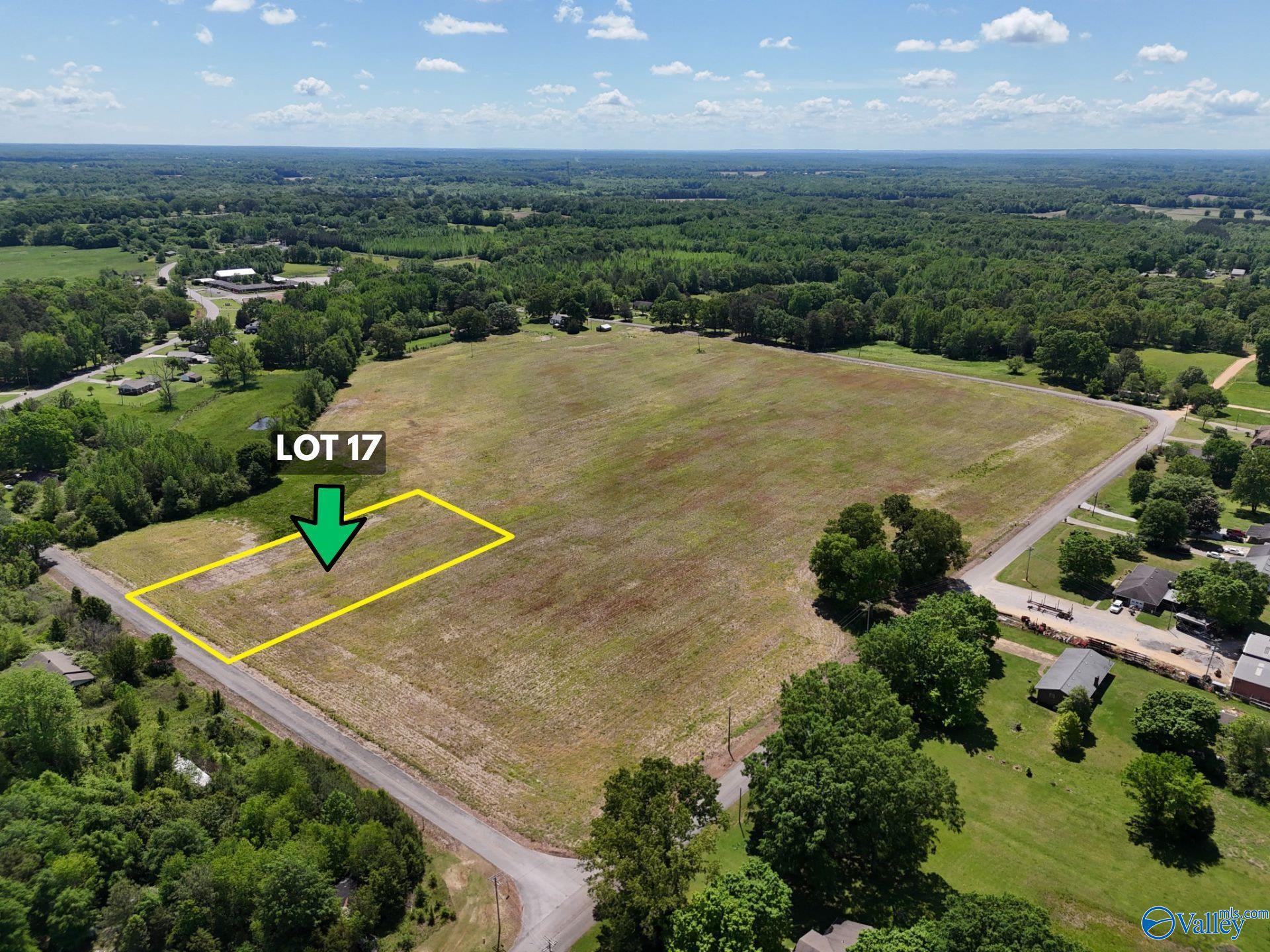 Lot 17 County Road 263, Florence, Alabama image 3