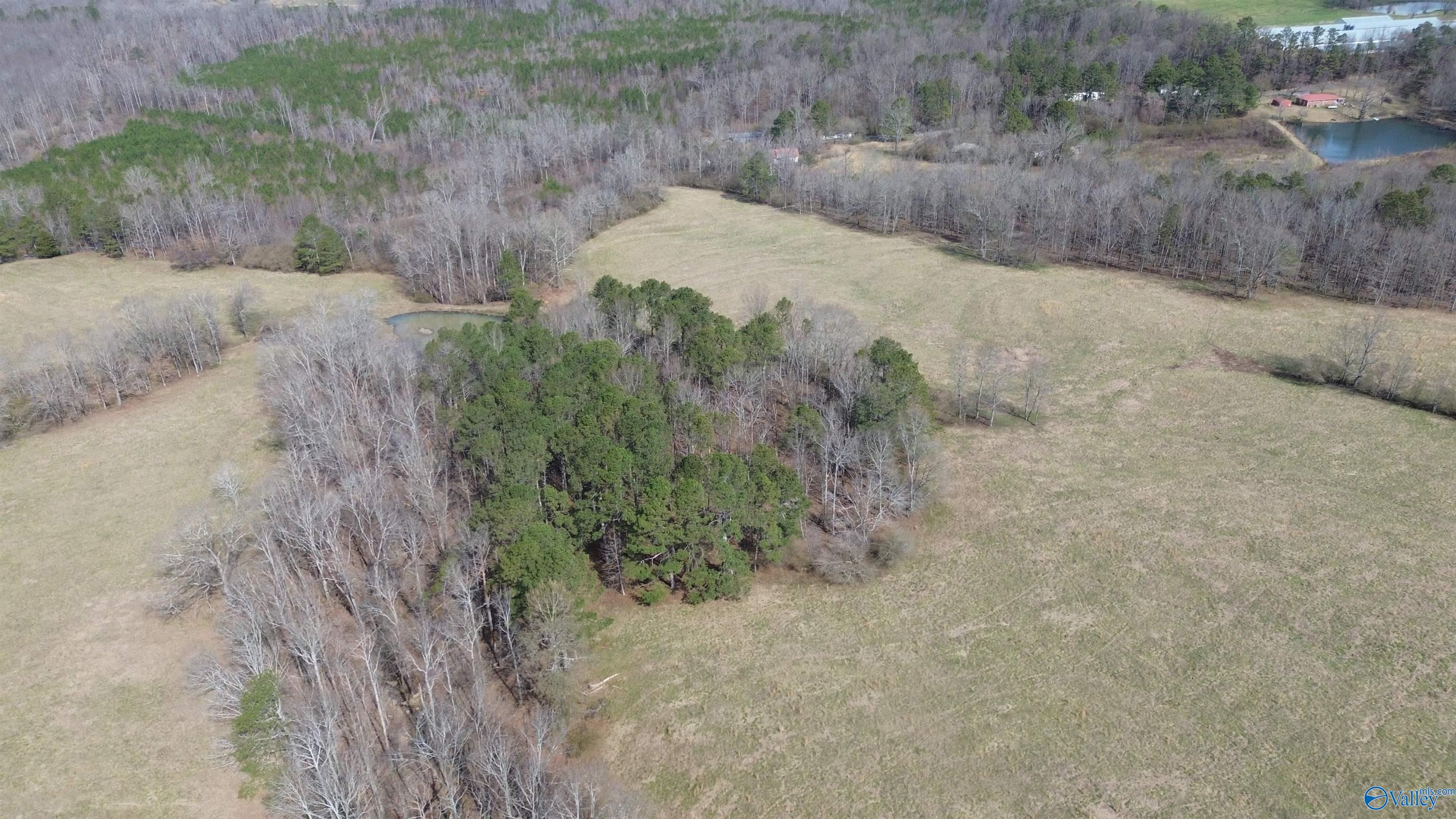 1404 Burton Loop Road, Altoona, Alabama image 4