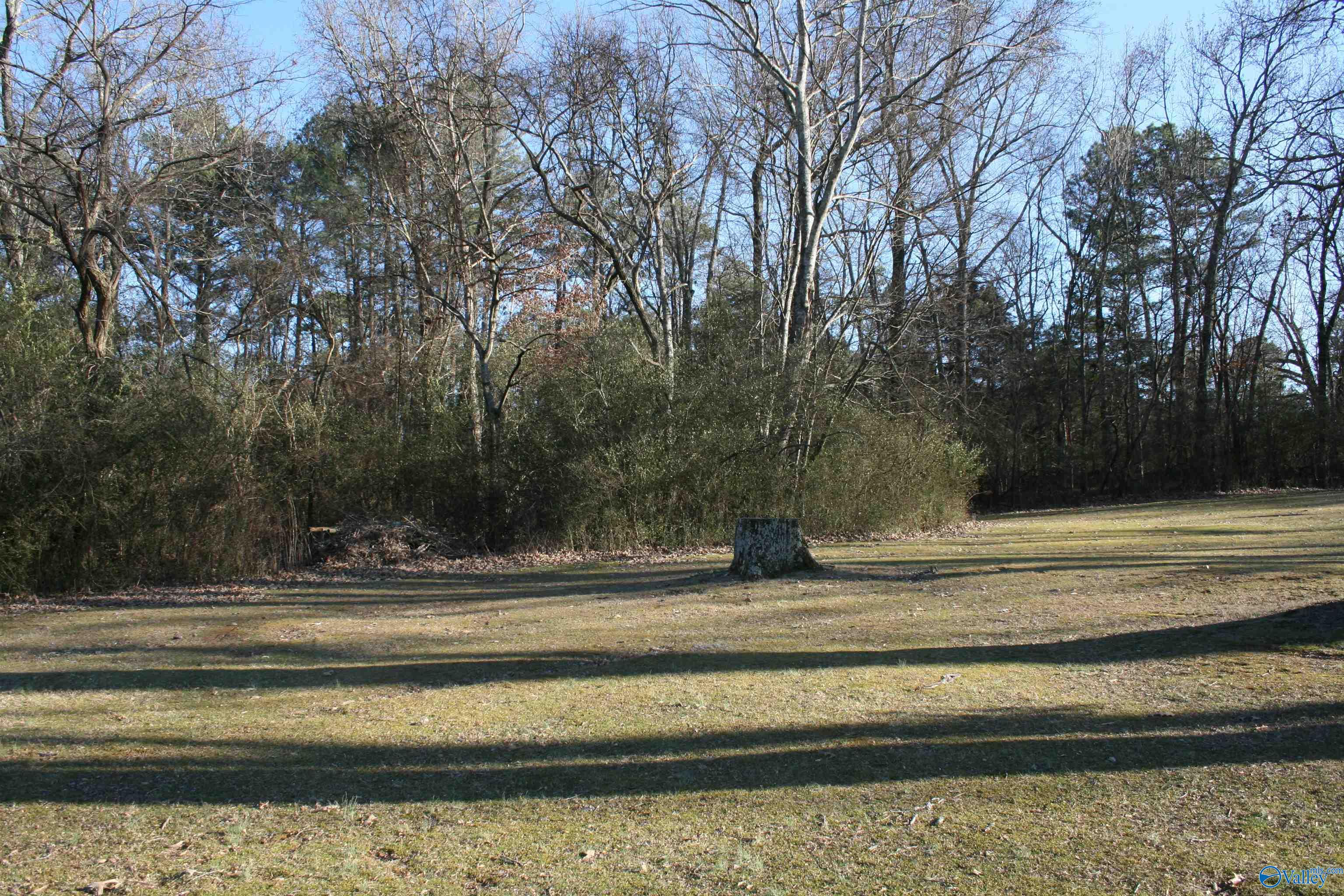 4.83 Yarbrough Road, Harvest, Alabama image 3