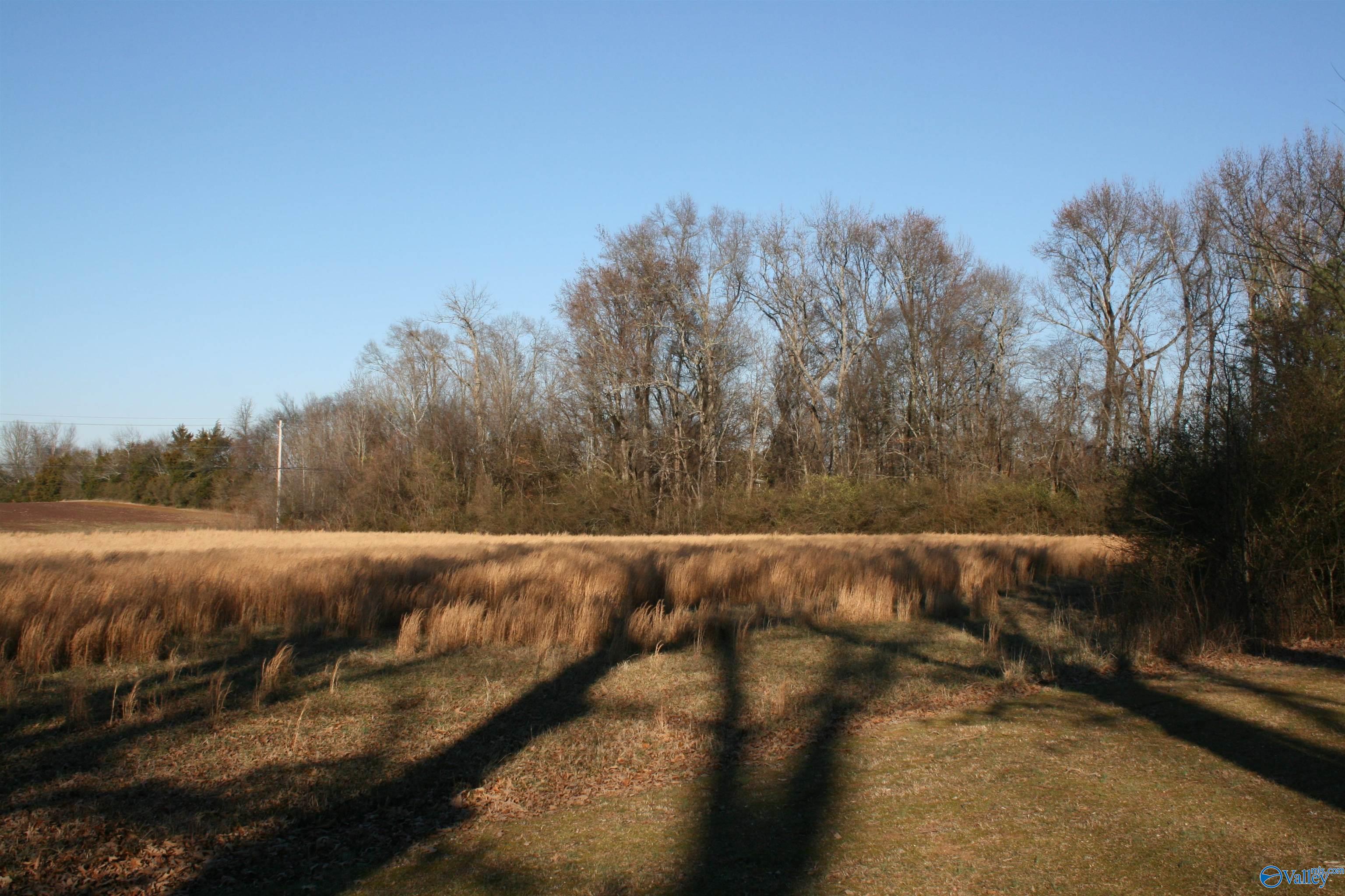 4.83 Yarbrough Road, Harvest, Alabama image 2