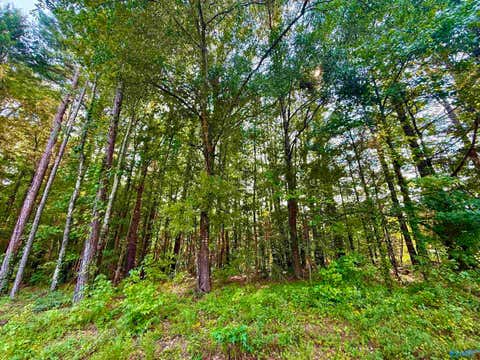 Vacant Land For Sale - 3 ACRES Herbert Road<br/> Hartselle, AL 35640